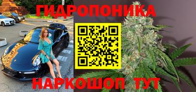 спайс Боровичи