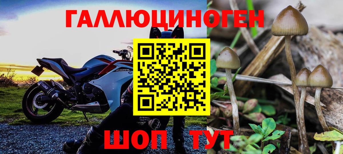 Галлюциногенные грибы GOLDEN TEACHER Гуково